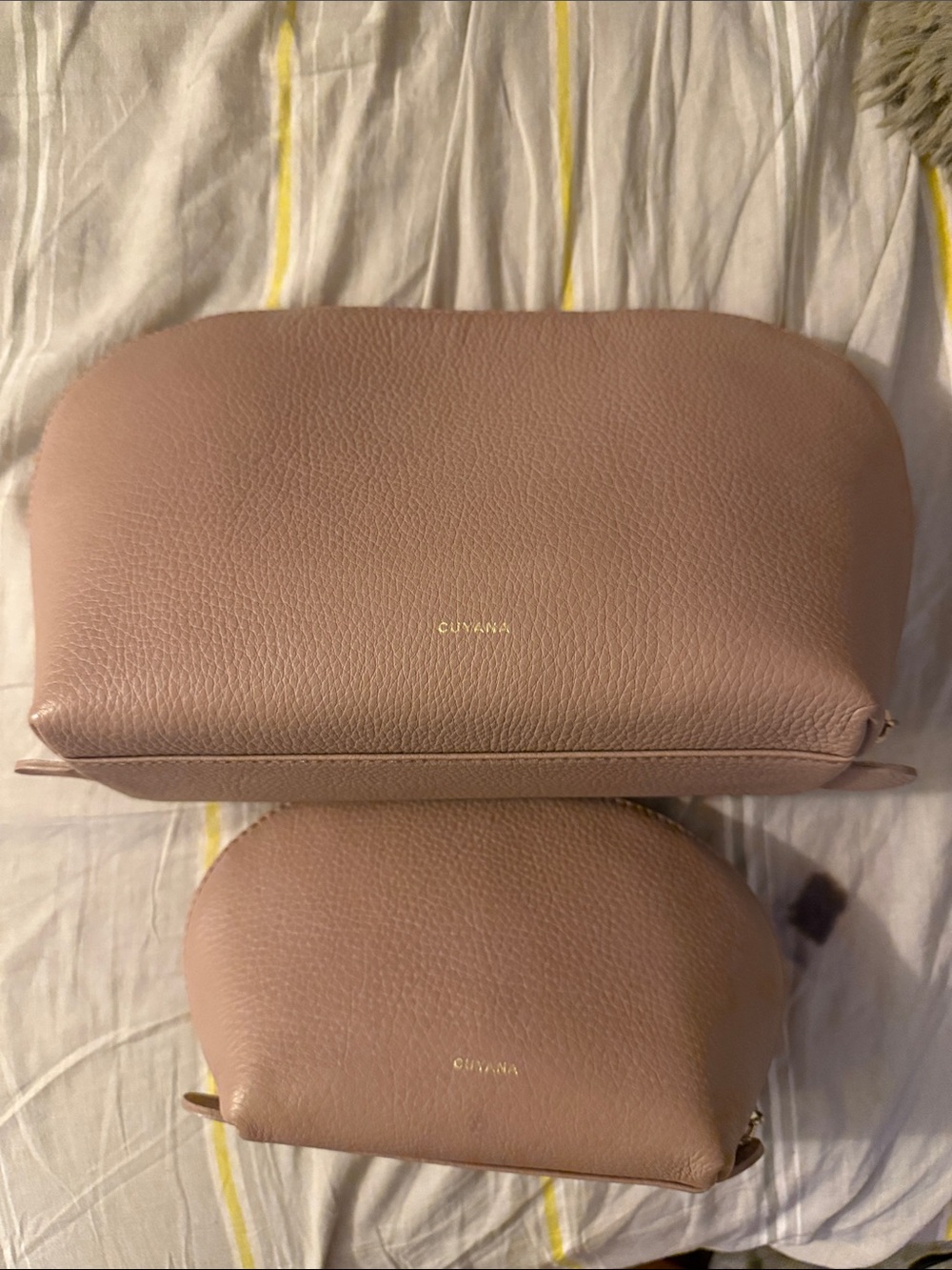 Cuyana Travel Case Set in Blush